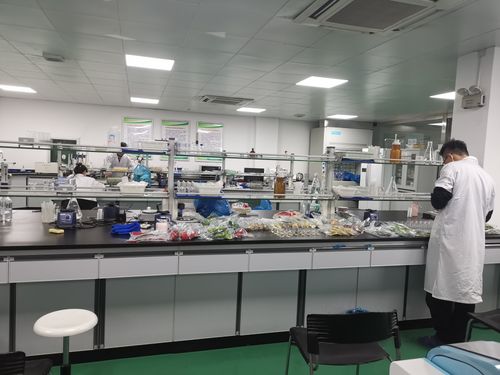 瓯海区构建重点食用农产品隐患闭环治理体系 以数据处理服务为核心驱动